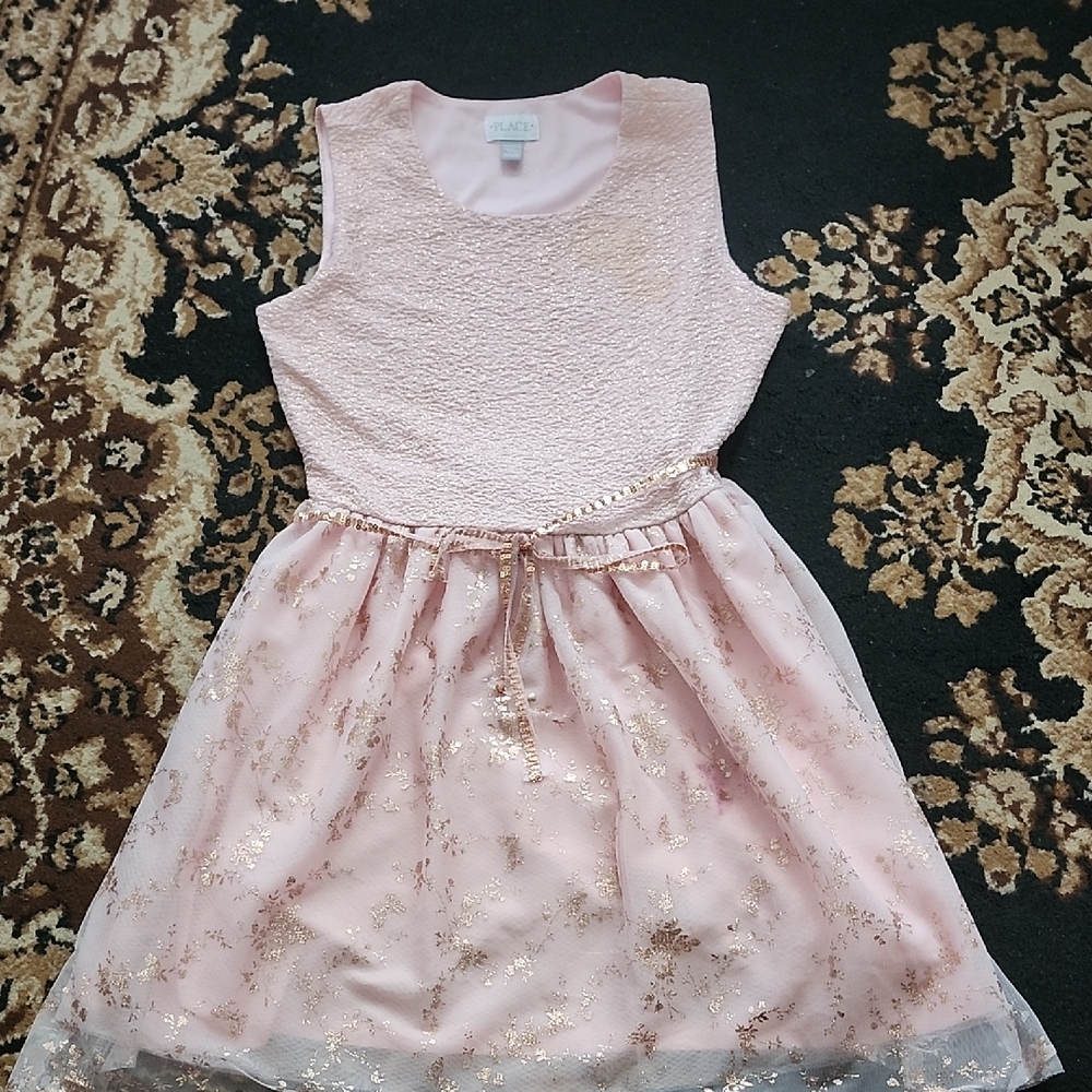 Place Elegant Pink and Mettalic Bronze Kids Dress; XXL
